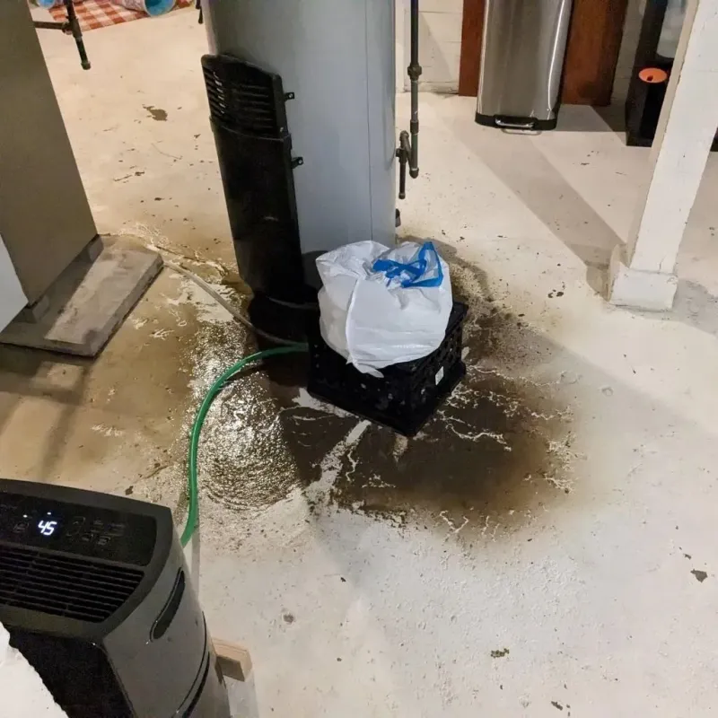 Sewage Backup Cleanup Service in Warson Woods, MO